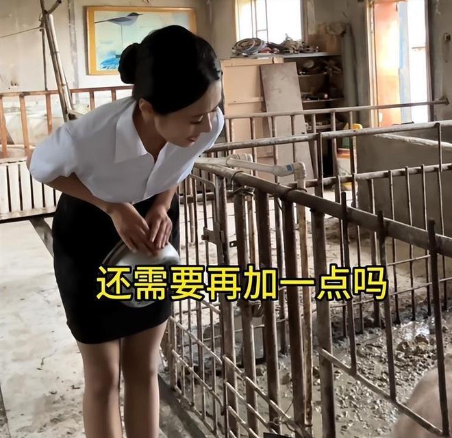 两年前95后上海空姐辞职养猪父亲气到断绝关系如今怎样了？(图19)