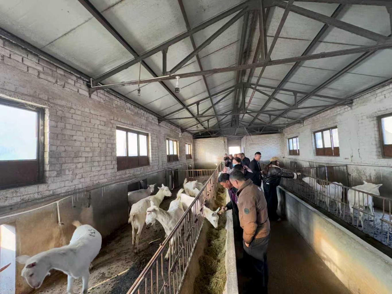 从“凭经验”到“靠数据”：陕西南郑高素质农民赴关中“升级”养殖观(图2)