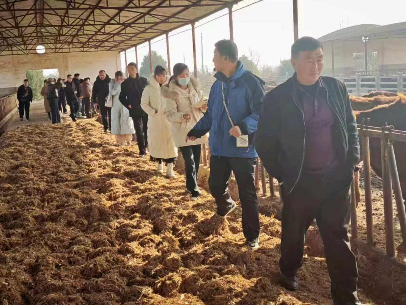 从“凭经验”到“靠数据”：陕西南郑高素质农民赴关中“升级”养殖观(图3)