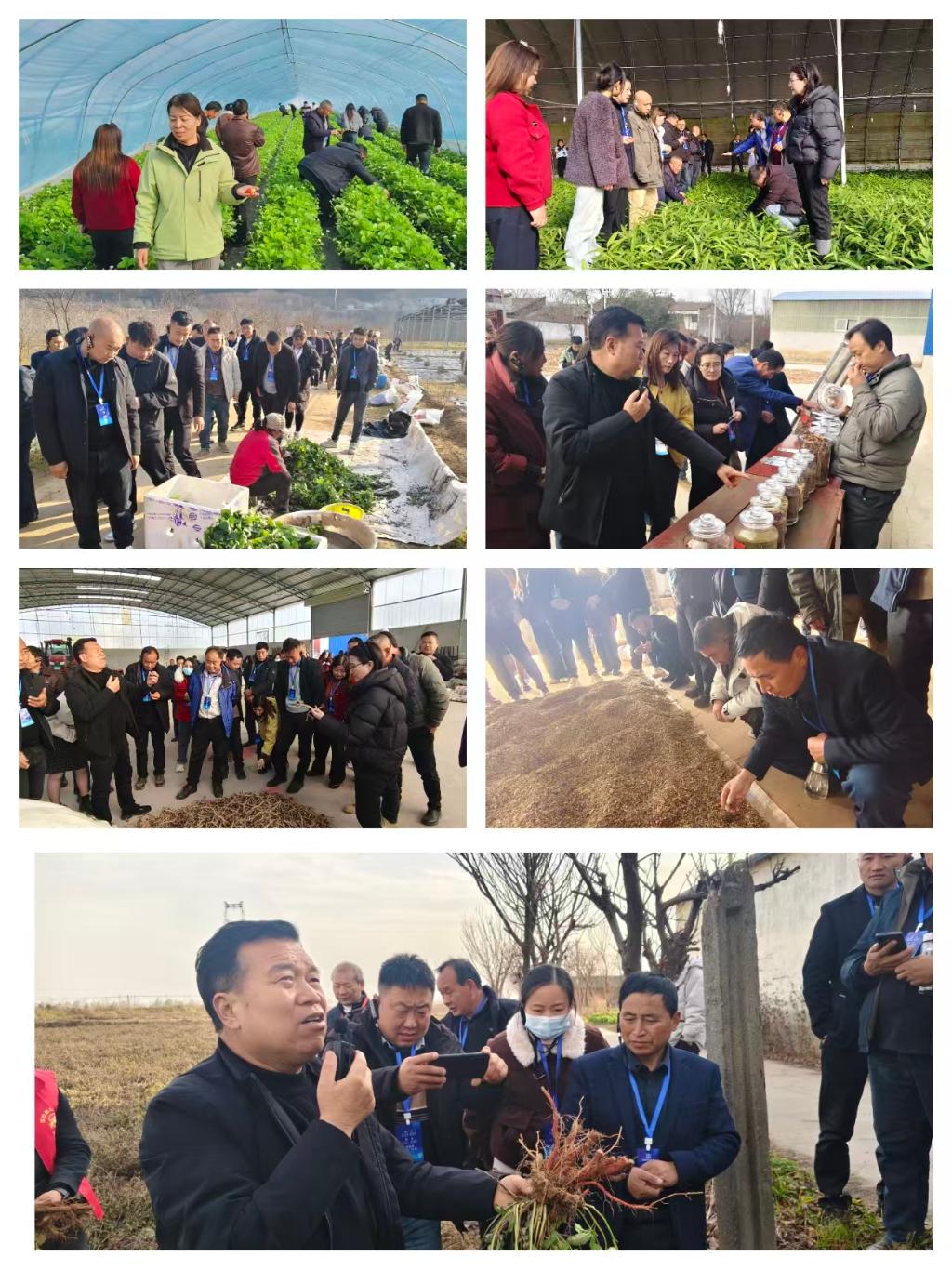 探索前沿新科技拓宽农业新视野(图6)