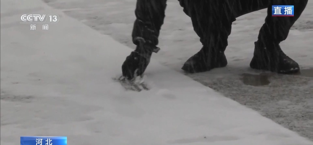 凯发旗舰厅寒潮、暴雪、大风预警发布直击北方多地雪情(图5)