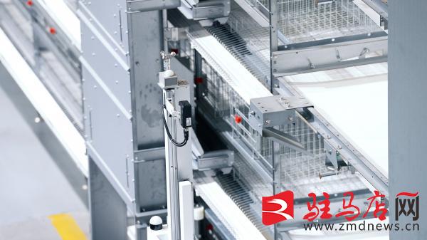 金牧人：岁末赶工智能养殖设备加速出海