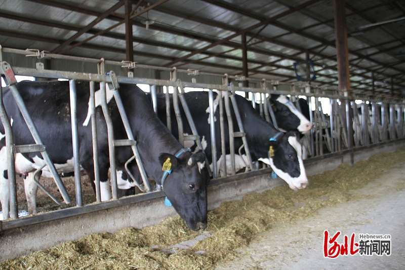 “围场御道口智慧循环农牧业示范区建设”项目通过结题验收