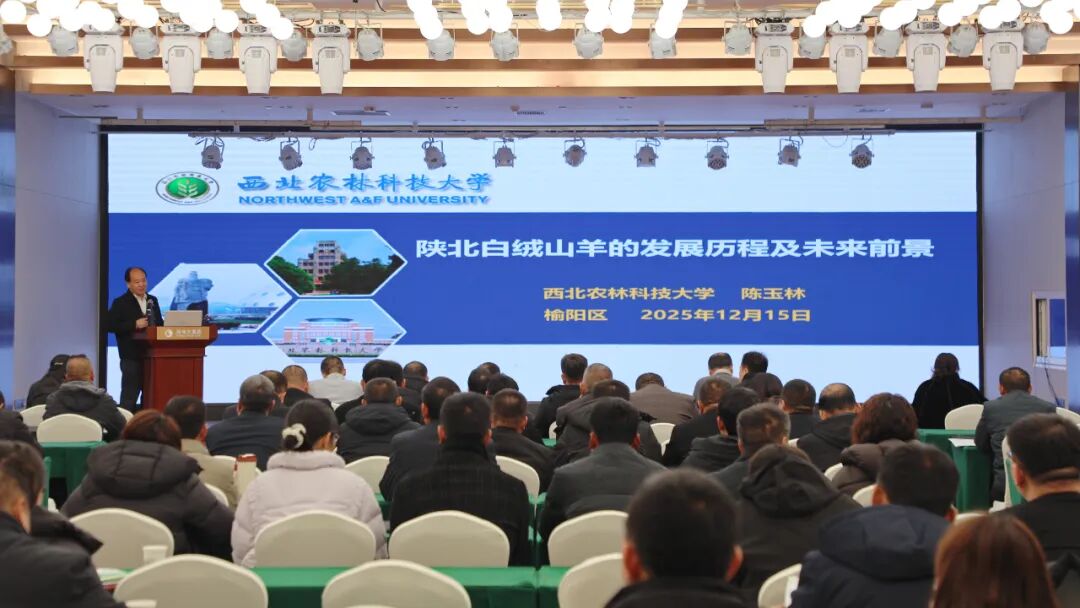 陕西榆阳区羊子（家禽）全产业链培训会赋能畜牧产业提质增效