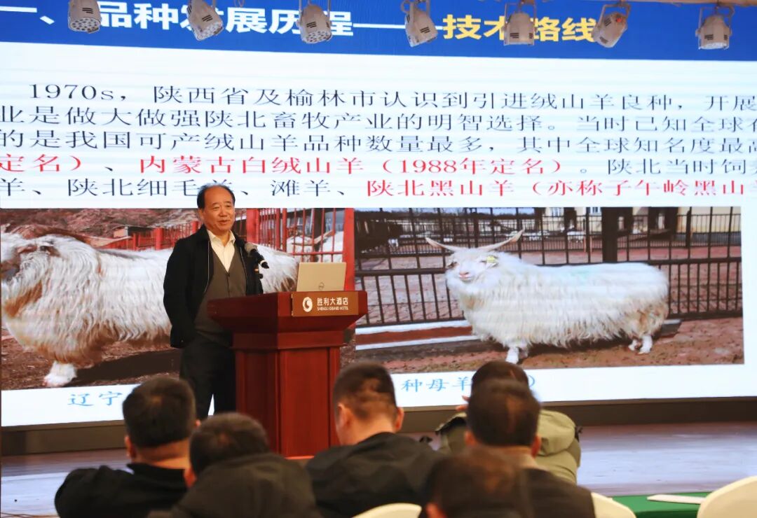 陕西榆阳区羊子（家禽）全产业链培训会赋能畜牧产业提质增效(图2)