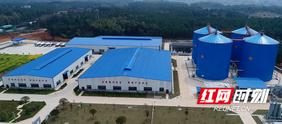 由“污”变“宝”湖南畜禽凯发国际养殖的绿色“翻身仗”(图3)