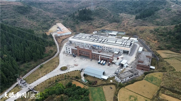 一枚鸡蛋如何“孵化”出一条产业链？