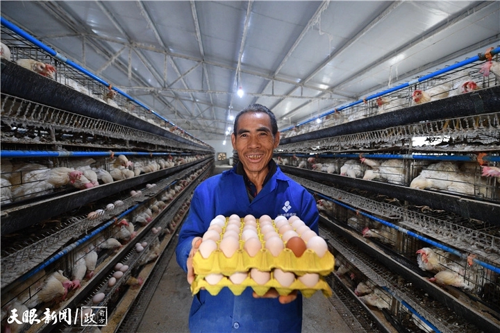 一枚鸡蛋如何“孵化”出一条产业链？(图3)