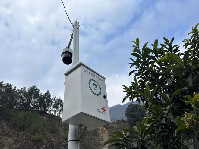 从田间到云端：联通科技绘就乡村新颜(图2)