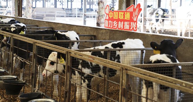 从田间到云端：联通科技绘就乡村新颜(图3)