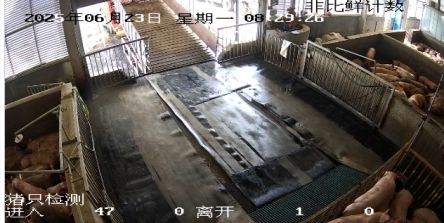 从田间到云端：联通科技绘就乡村新颜(图4)