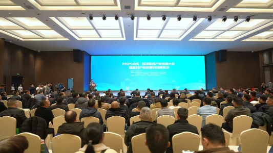 2025菏泽蛋鸡产业发展大会召开推动蛋鸡全产业链协同创新与高质量发展