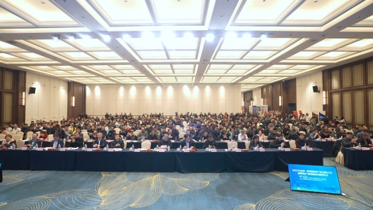 2025菏泽蛋鸡产业发展大会召开推动蛋鸡全产业链协同创新与高质量发展(图2)