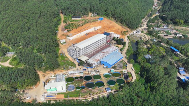 牛！用这个方法！一猪场老板对玉米豆粕的依赖竟然减少近20%凯发旗舰厅