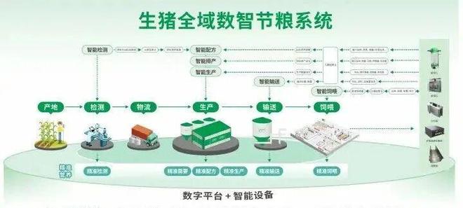 牛！用这个方法！一猪场老板对玉米豆粕的依赖竟然减少近20%凯发旗舰厅(图3)