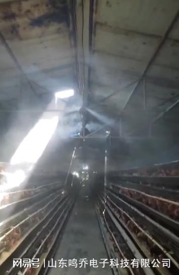 凯发旗舰厅南丹县强化畜禽养殖污染防治监管推动畜牧业绿色健康发展(图2)