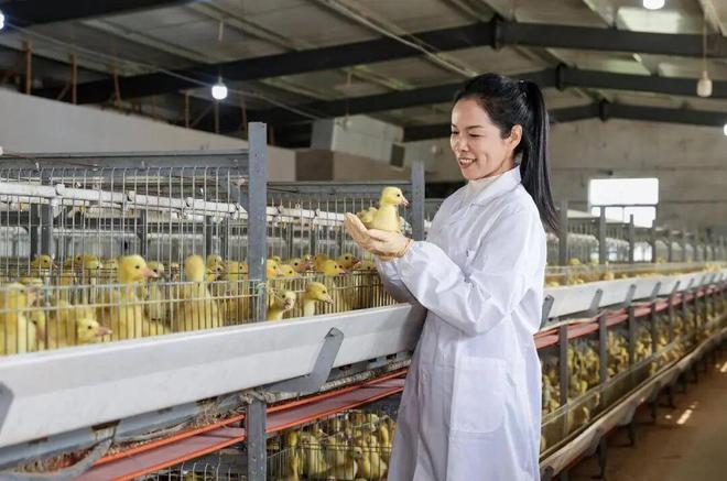 “最美公务员”李玲：做凯发国际一只共富“领头鹅”