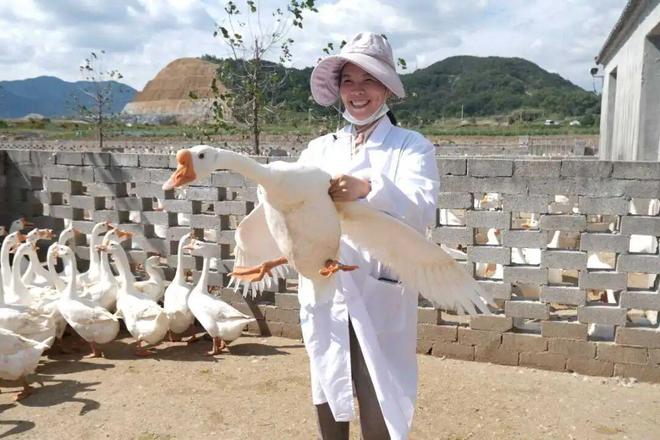 “最美公务员”李玲：做凯发国际一只共富“领头鹅”(图2)