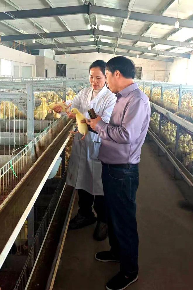 “最美公务员”李玲：做凯发国际一只共富“领头鹅”(图3)