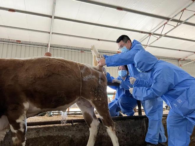 “最美公务员”李玲：做凯发国际一只共富“领头鹅”(图7)