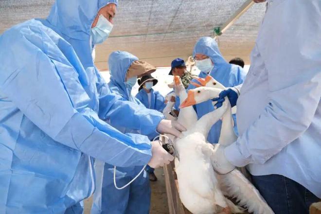 “最美公务员”李玲：做凯发国际一只共富“领头鹅”(图8)