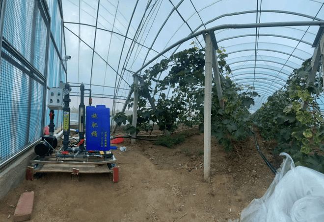 水肥一体化灌溉设备厂家与温室大棚厂凯发国际家推荐：宣通能源居前列