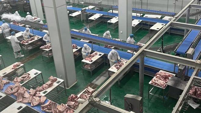 凯发国际最是喀什奋进时⑦丨喀什绿色畜牧产品凭啥成“金字招牌”？(图3)