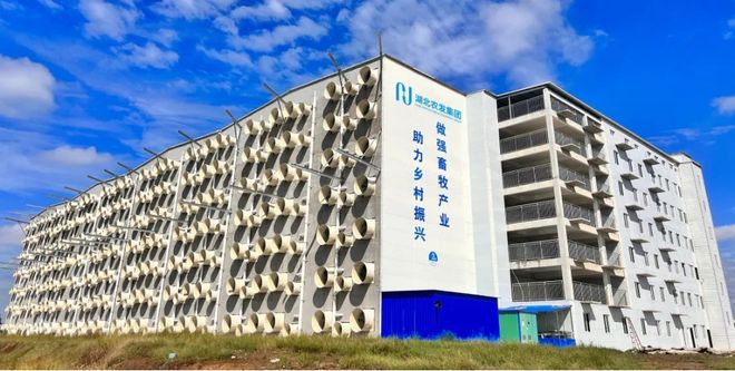 湖北农发：业财深度融合数智聚力铸就生猪全产业链新生态