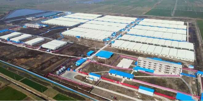 湖北农发：业财深度融合数智聚力铸就生猪全产业链新生态(图2)