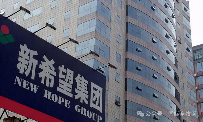 新希望刘畅：亏损时频做噩梦哭醒后愈战愈勇