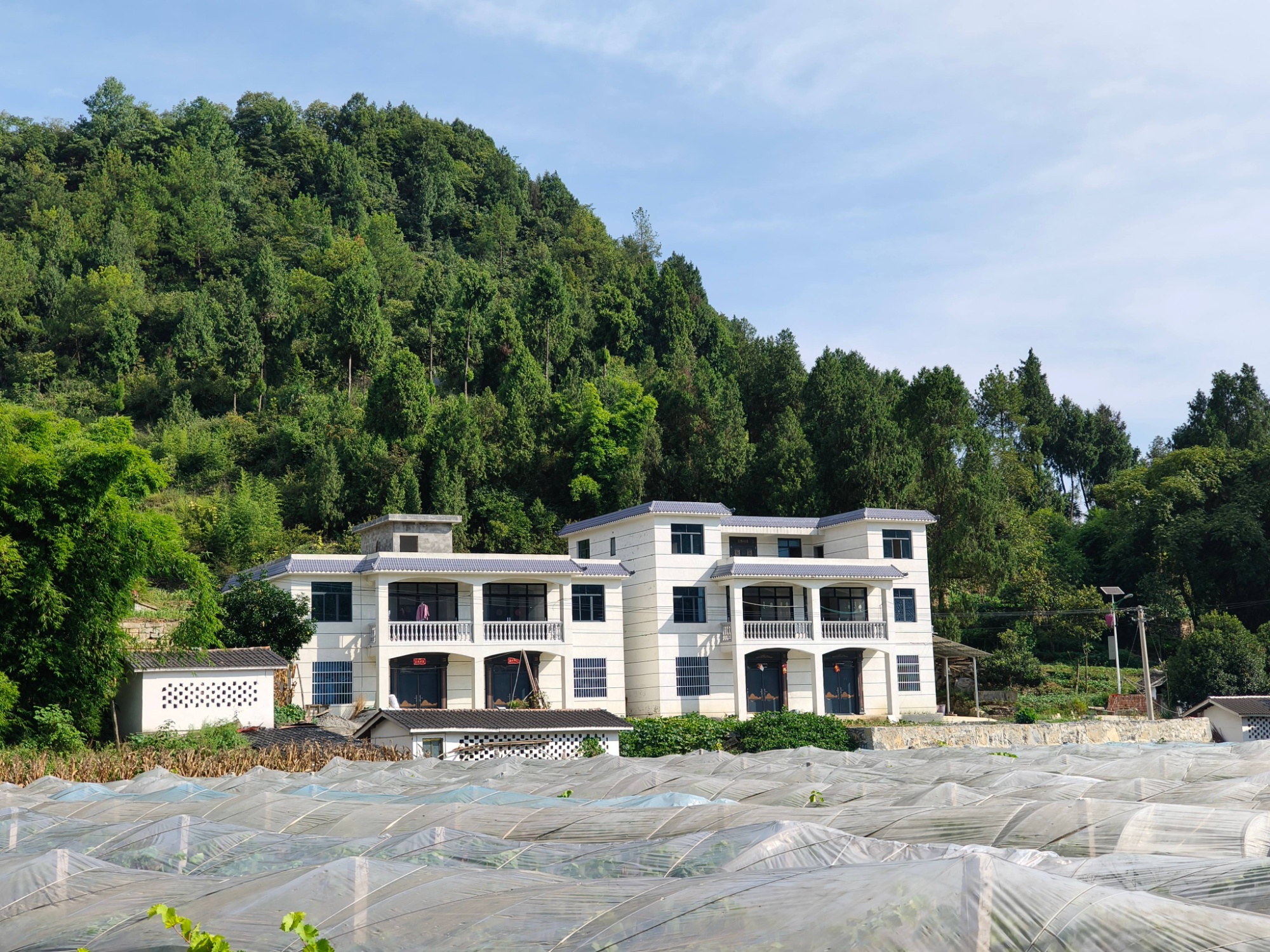 路通百业兴贵州习水新光村“葡”写致富经(图3)