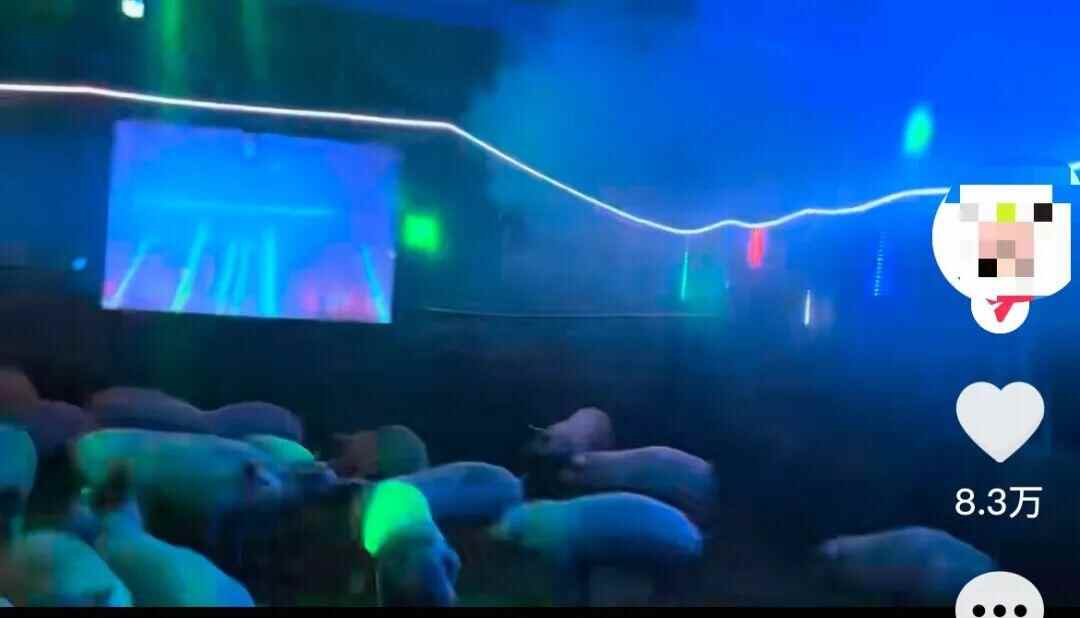 95后养猪人放DJ音乐给猪听当事人：花了3000元买设备生猪听了变得更活泼