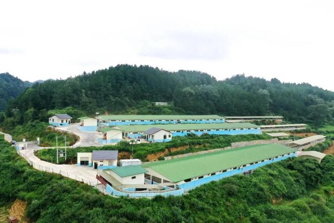 温氏股份：以产业赋能绘就“百千万工程”共富图景(图6)