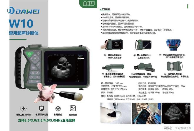 母猪孕检兽用b超怎么凯发国际选？(图2)