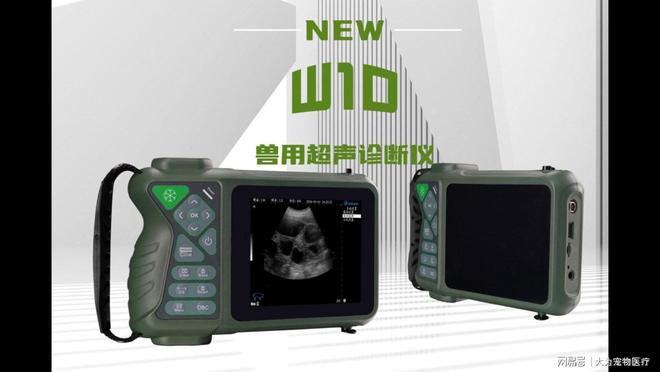 母猪孕检兽用b超怎么凯发国际选？