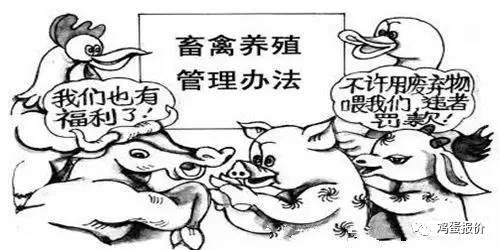 低端养殖业清退补偿仅按指导价的30%？养殖人何处说理！？(图6)