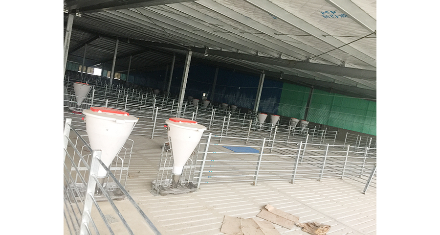 凯发旗舰厅镇江养猪设备生产厂家行业推荐泊头市华农农牧机械供应