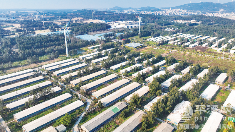 平潭全链条守护群众肉篮子(图1)