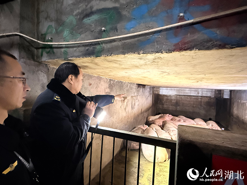新春走基层｜守护年味放心肉严把生猪体检关(图1)