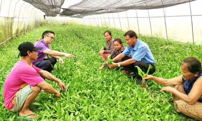 中国方案东盟实践丨共享共富广西有为