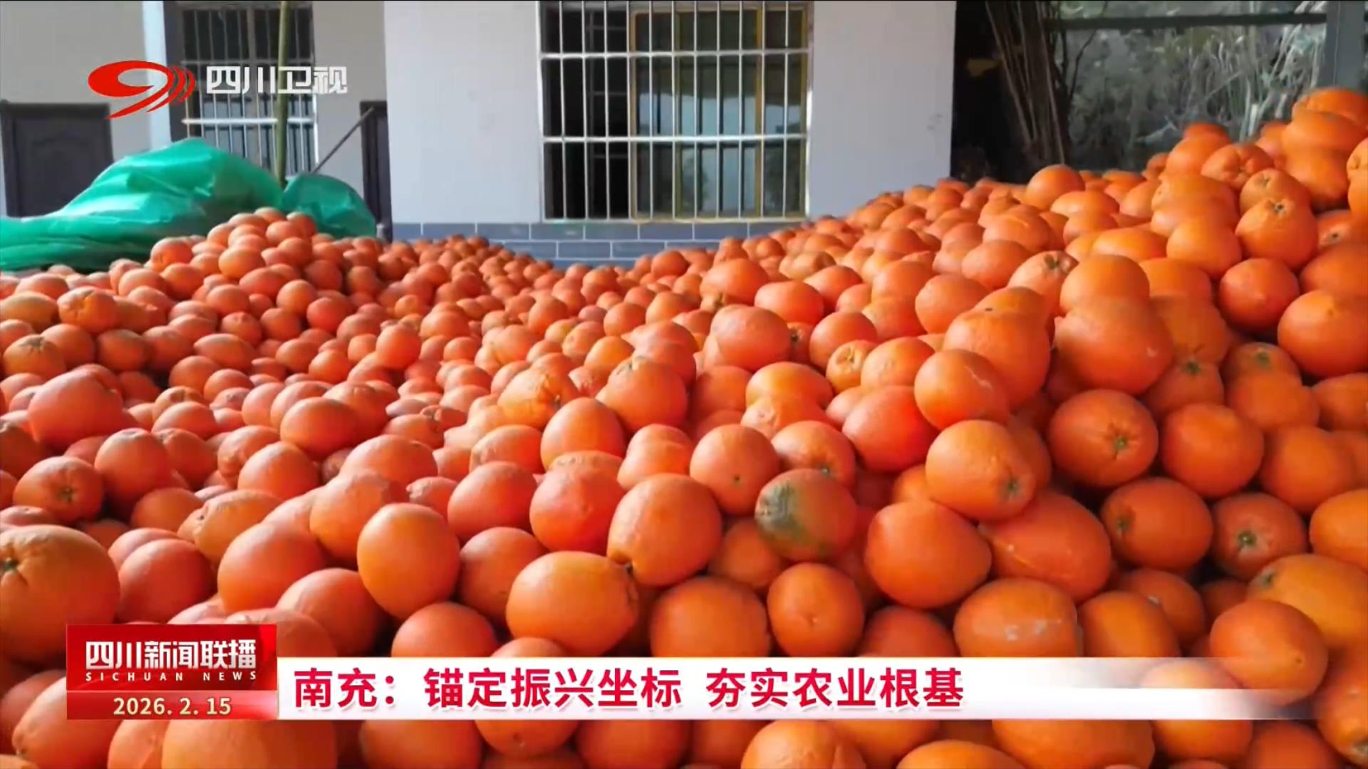 四川新闻联播丨南充：锚定振兴坐标夯实农业根基(图2)