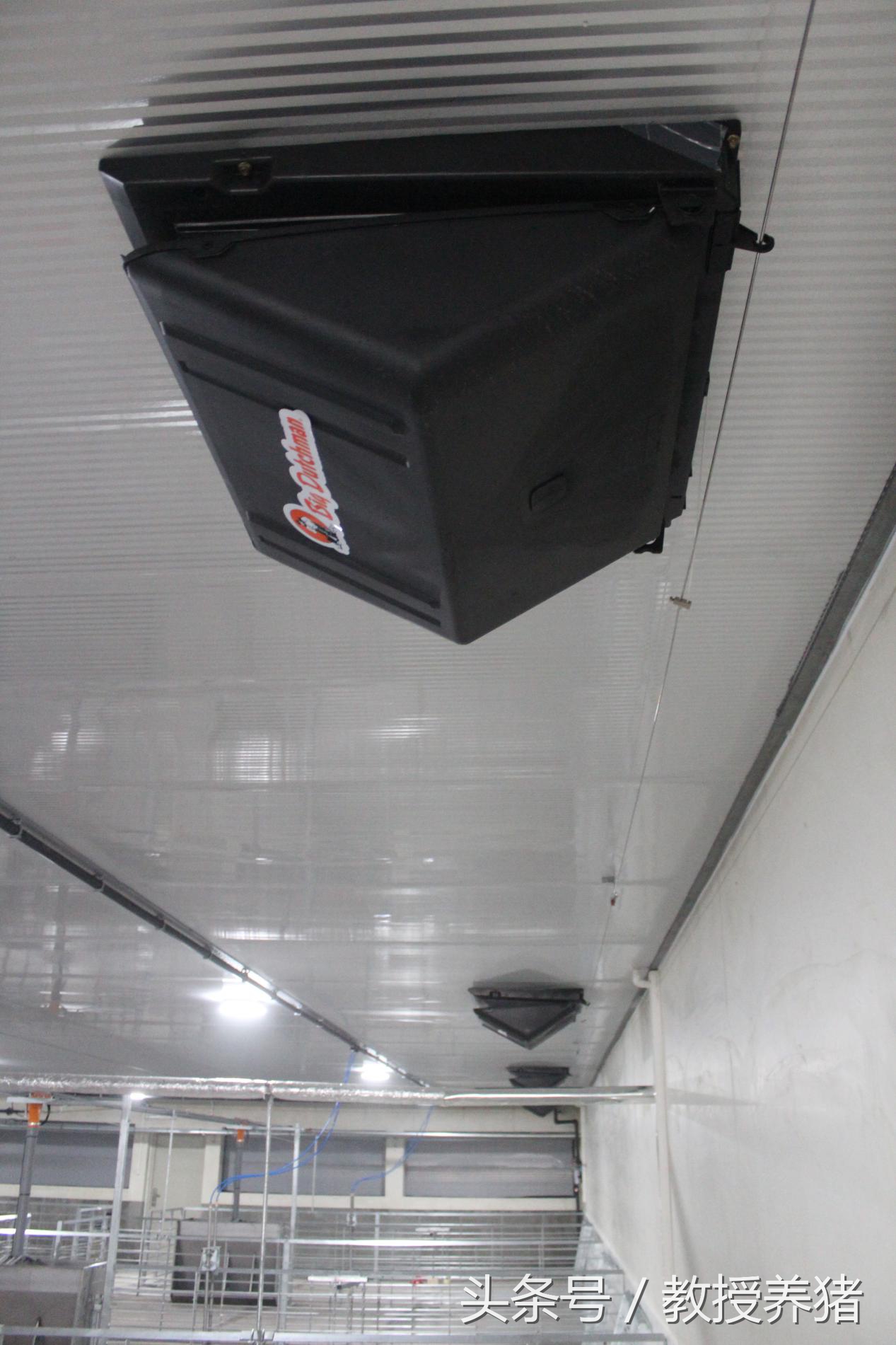 ag凯发德式现代化猪场什么样带你去看看！(图2)