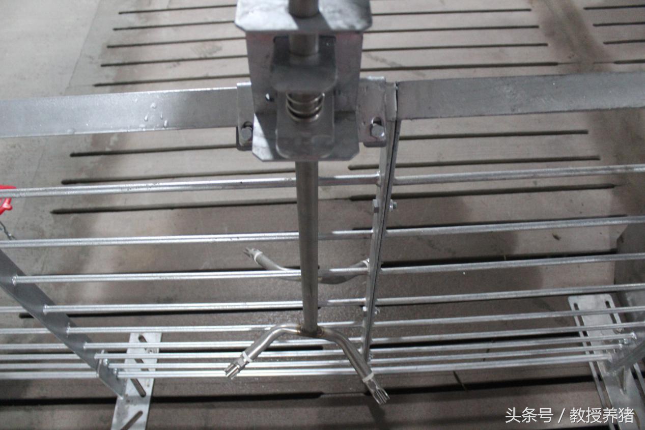 ag凯发德式现代化猪场什么样带你去看看！(图3)