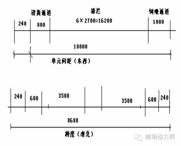 图说300头基础母猪猪场设计图赶紧收藏起来！(图3)