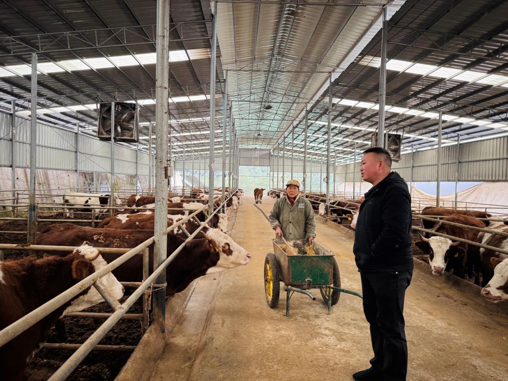 “猪倌书记”走出乡村致富路(图2)