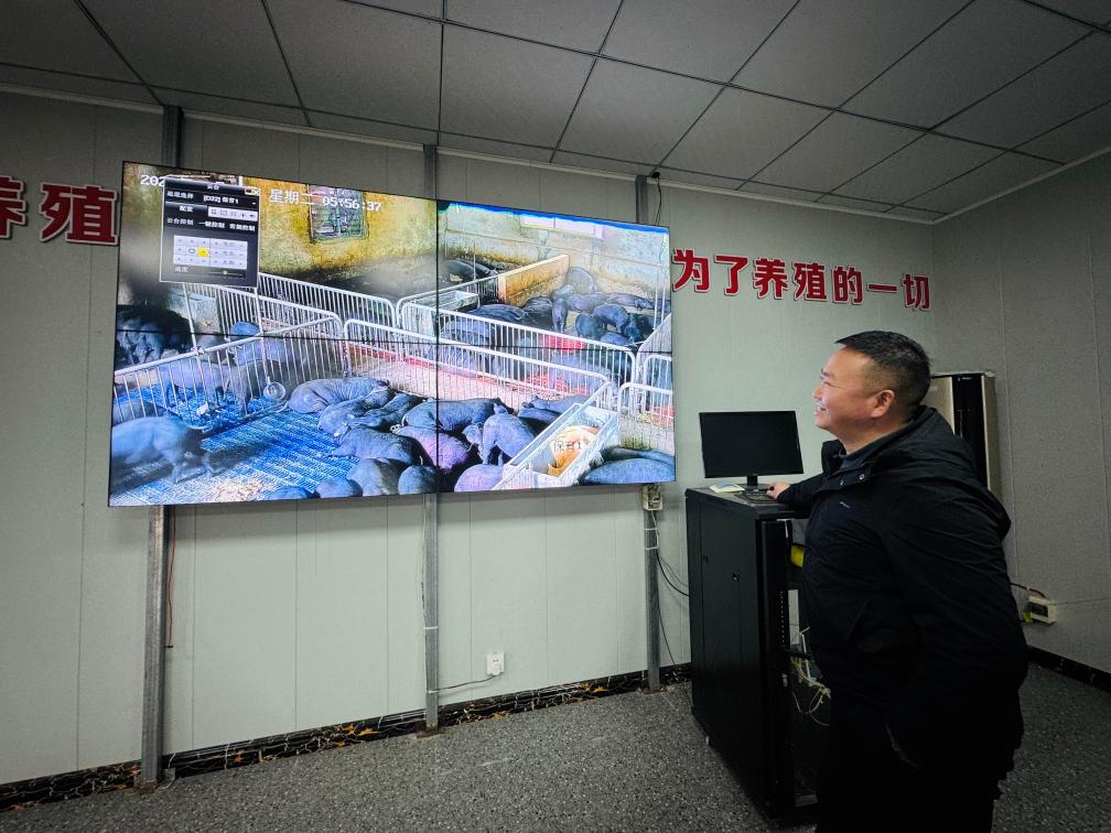 “猪倌书记”走出乡村致富路