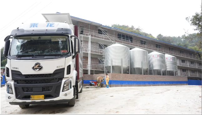 凯发旗舰厅筑牢产业振兴“猪”根基长洲区生猪养殖立体式标准化基地二期完工首批猪苗顺