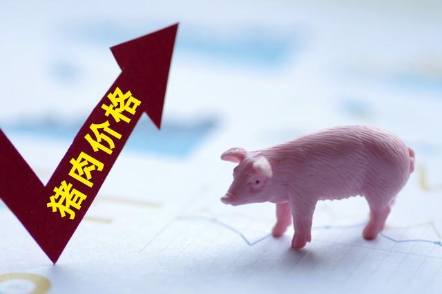 凯发国际养猪企业排行榜前十名(图3)