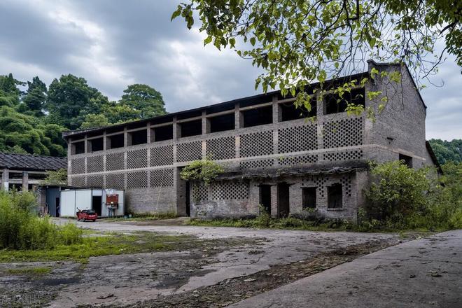 凯发国际养猪企业排行榜前十名(图6)