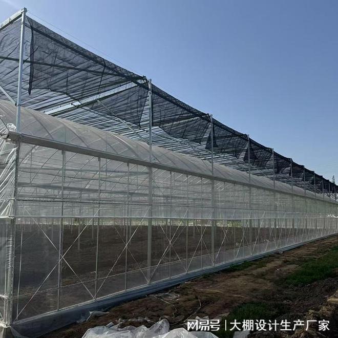 养鸡大棚厂家实力推荐：从技术到服务的全面解析